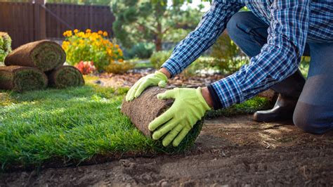 floratum|The Difference Between Floratam And St. Augustine Grass .